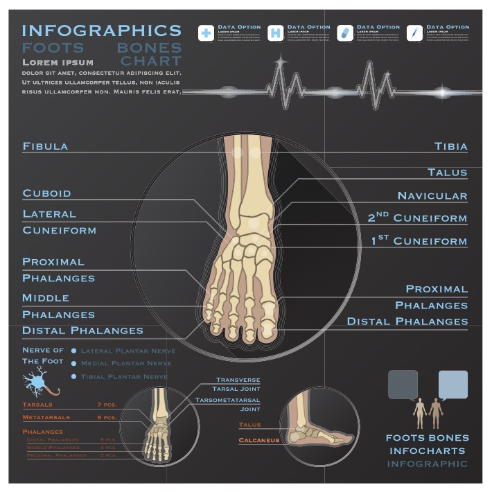 Forefoot Imaging 