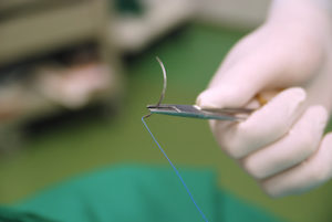 Suture in surgery